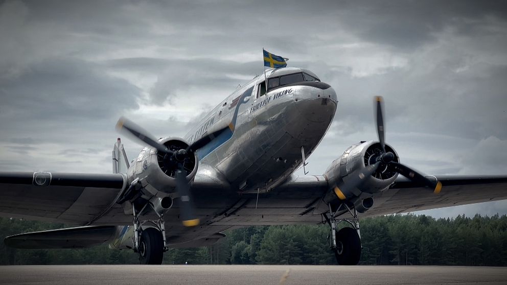 DC3 Daisy