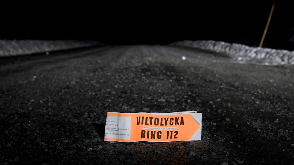 Vägskylt med texten ”Viltolycka, ring 112” ligger på en mörk landsväg.