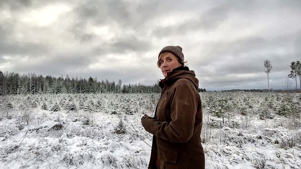 Julgransodlaren Lisa Nylinder framför en del av sina odlingar.