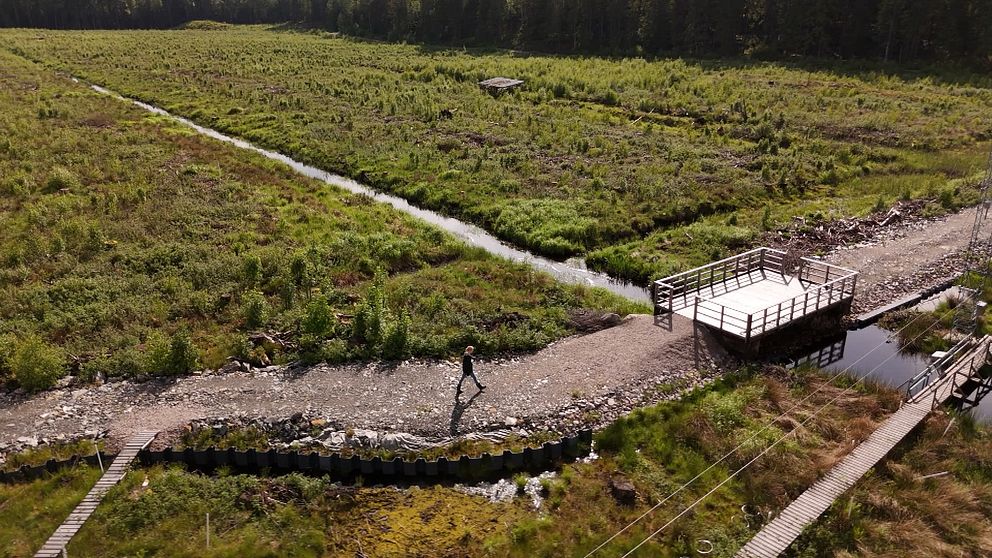 våtmark Skogaryds forskningsstation