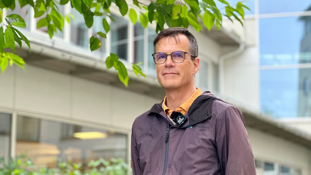 Ingvar Bergdahl, docent i arbets- och miljömedicinsk toxikologi vid Umeå universitet