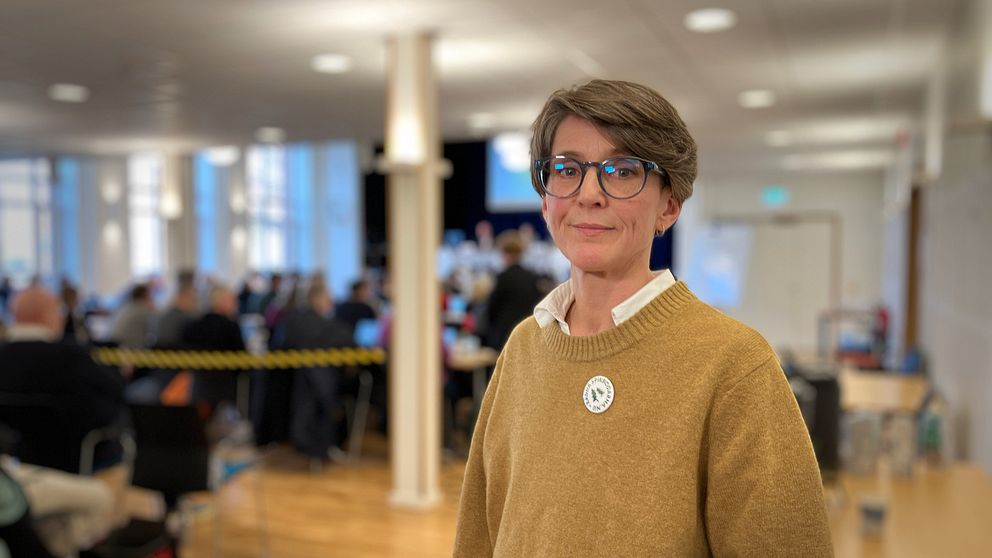 Henrika Lavonius Wike från Rädda Spikbodarna, klädd i en brun tröja står i förgrunden av en konferenslokal. Bakom henne syns en grupp människor som är samlade för kommunfullmäktige i Östersund.