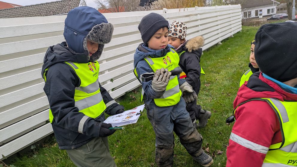 Barn i reflexvästar står på en gräsmatta och håller  skräp med en plasttång. En vit stängselkonstruktion syns i bakgrunden. De är klädda för kyligt väder och två av dem har handskar på sig.