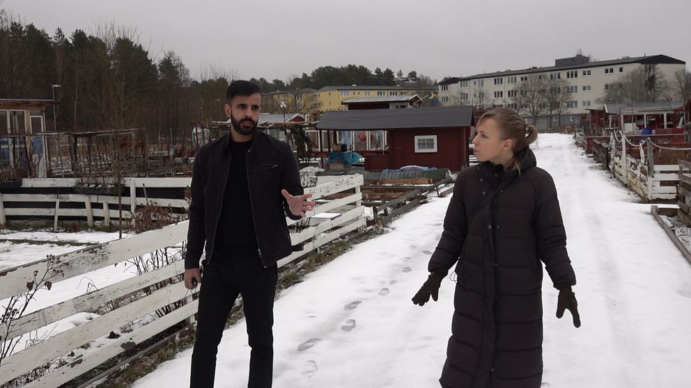 Här tvingas föreningen riva kolonilotterna i Eskilstuna: ”Jättebesviken ...