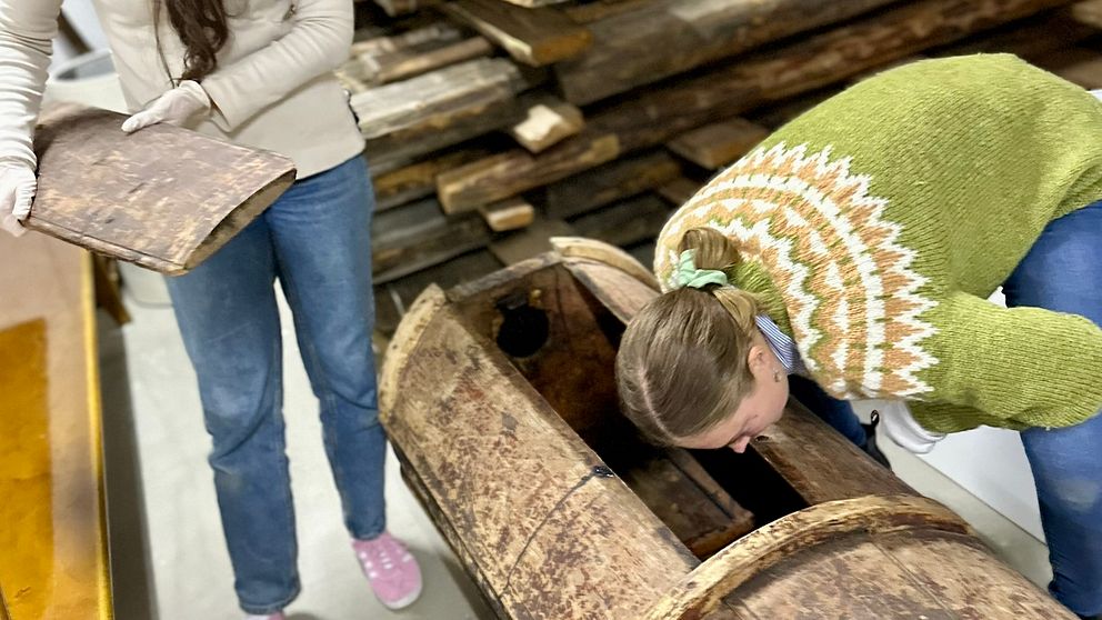 Mica Vesterlund tar prover på ackjor.