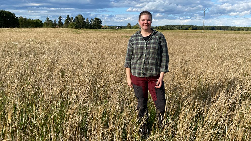 Johanna Björs, ordförande LRF Ungdomen Dalarna står på en åker.