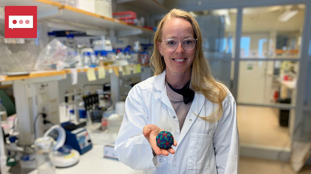 Professorn Anna Överby Wernstedt håller i en modell av TBE-viruset på Norrlands universitetssjukhus i Umeå.