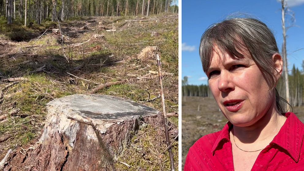 Ulrika Karlsson är besviken att hennes motioner om att bevara skogen röstades ner.