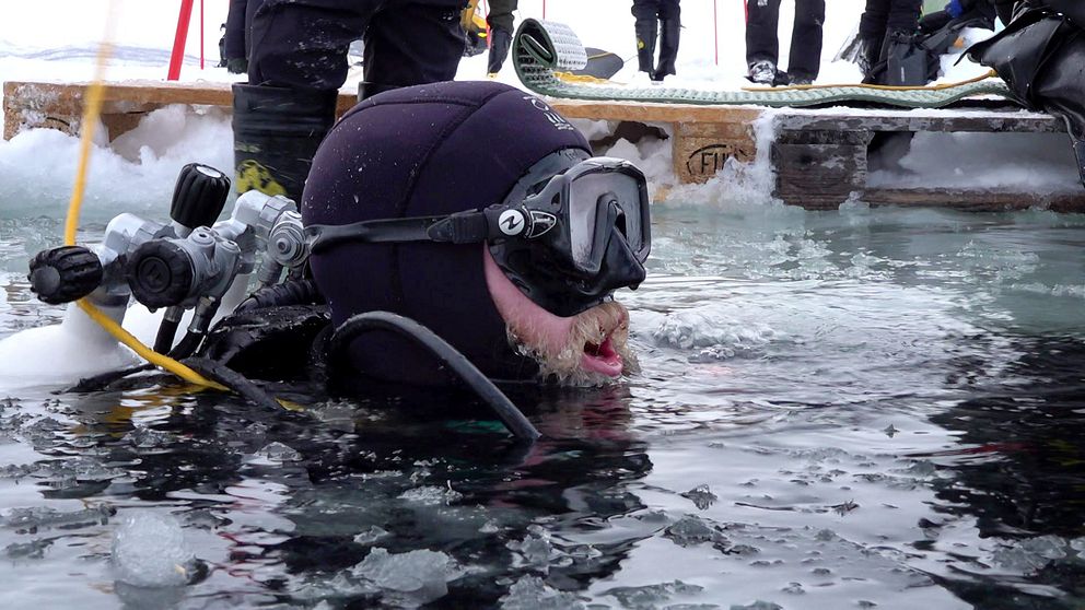 En dykare gör sig redo för att simma ner under isen.