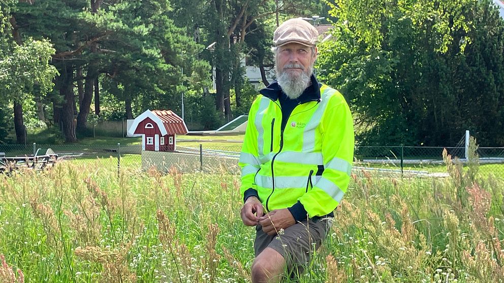 Johan Mårtensson, natur och skogsförvaltare i Båstad kommun.