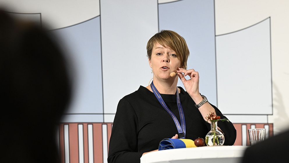 Katrin Stjernfeltd Jammeh (S)