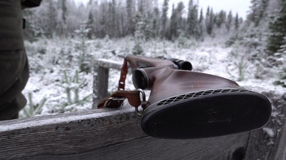 En bild på ett jaktgevär med snöbeklädd skog i bakgrunden.