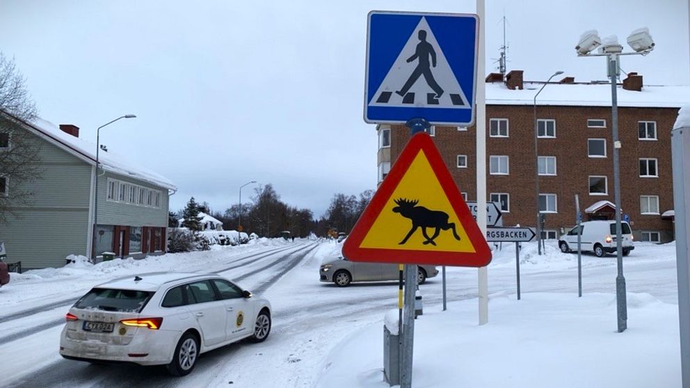 Herrgårman-skylt och älgvarningsskylt på samma stolpe