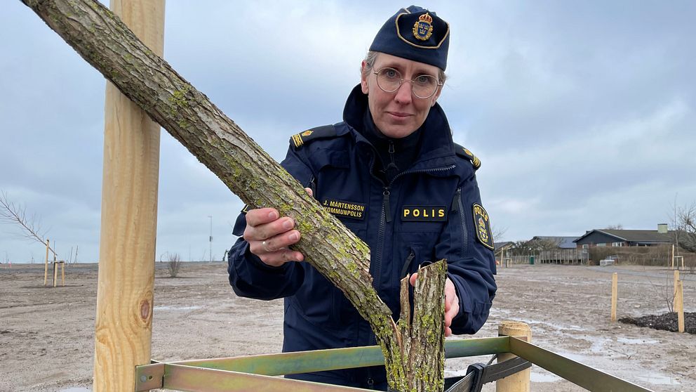 Jessica Mårtensson, kommunpolis i Kävlinge, står vid ett av de vandaliserade träden.