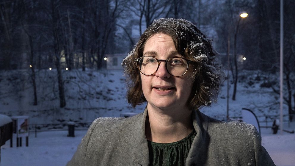 Socialdemokraten, Elin Norén som är regionstyrelsens ordförande vid Region Dalarna svarar på frågor.