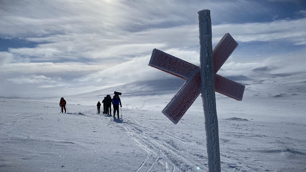 Vinterbild med skidåkning längs Jämtlandstriangeln.