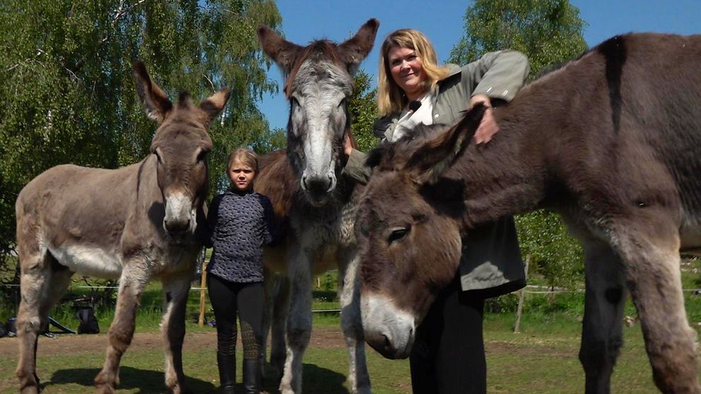Tre lurviga mammutåsnor