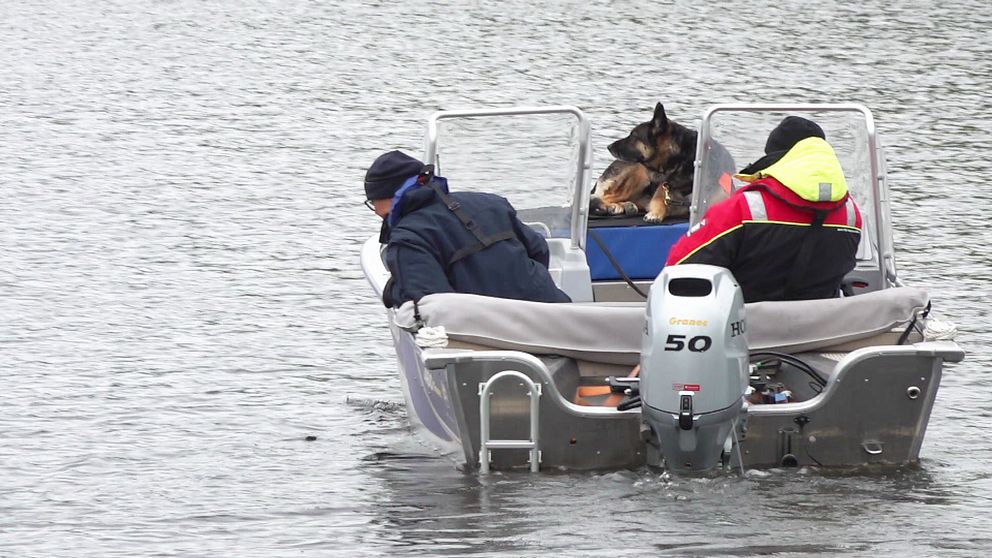 Bild på två män och en hund i en båt. De letar efter en försvunnen man.