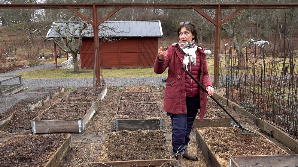 Julia Nikonova på kolonilotten där hon odlar lagringsbara grönsaker.