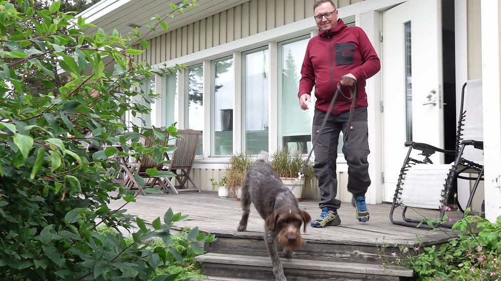 Ripjägaren Anders Burman går ut med sin jakthund.