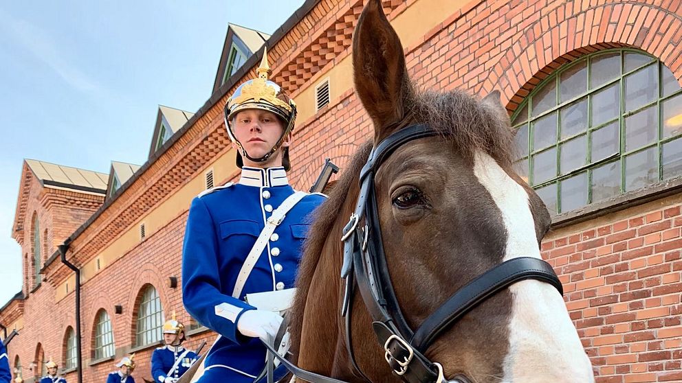 Militär i blåa kläder på häst