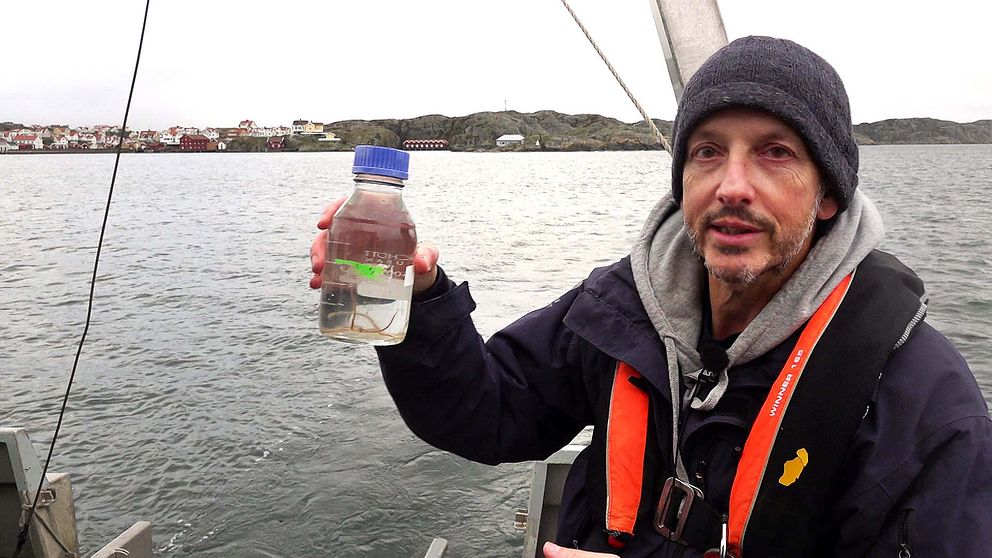 En person står på en båt och håller upp en plastflaska med vatten. I bakgrunden syns en kustlinje med hus och en öppen vattenyta. Det är en grå och molnig dag.