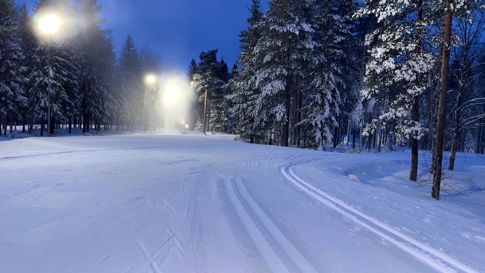 Konstsnöspåret i Ånnaboda och snökanoner i bakgrunden.