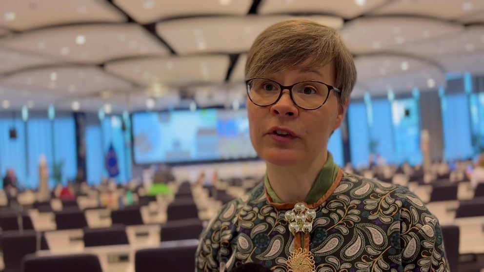 Elle Merete Omma på EU Arctic Forum