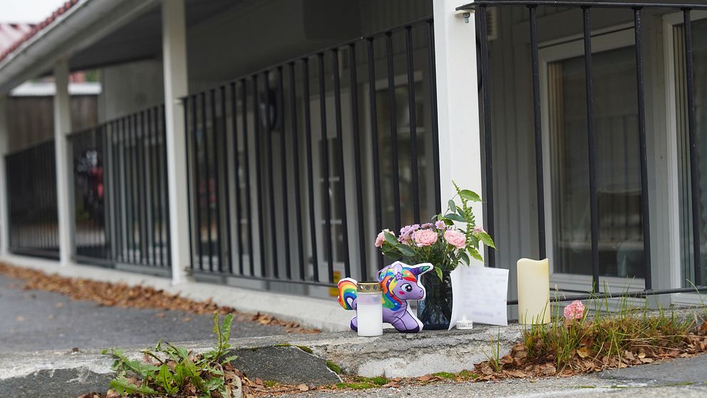 Blommor och en enhörning på asfalten utanför en dörr