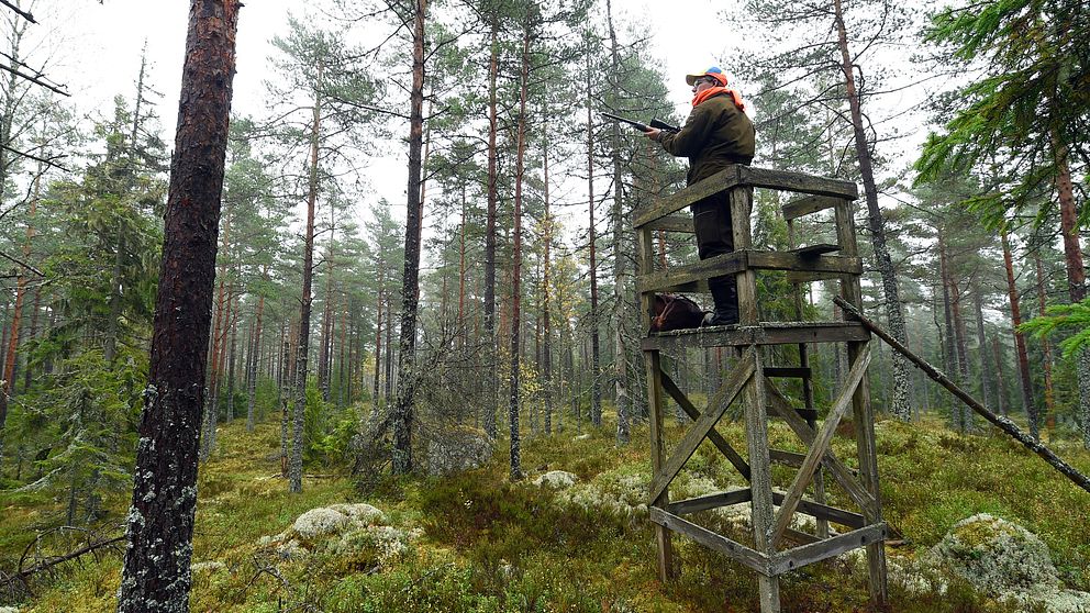 Jägare på pass