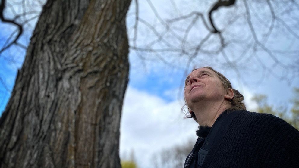 Person står under ett stort träd med nakna grenar mot en blå himmel.