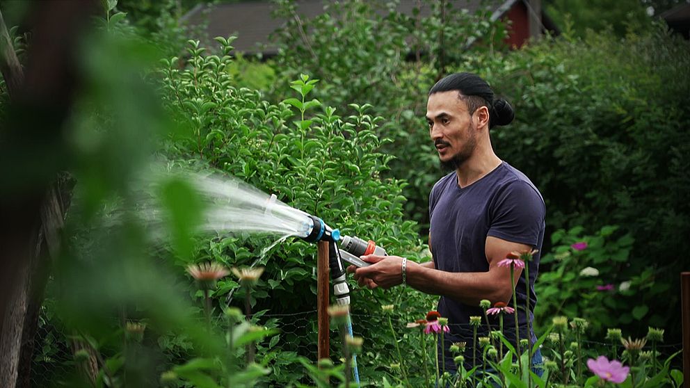 Hanif vattnar blommor i sin trädgård.