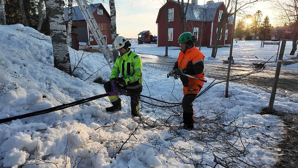 Två personer i arbetskläder står i en snöbeklädd trädgård och arbetar med att klippa grenar. Den ena personen bär en grön och svart jacka med en hjälm, medan den andra har på sig en orange och svart jacka. I bakgrunden syns röda hus och en stege lutad mot ett träd. Solen står lågt på himlen och kastar ett varmt ljus över scenen.