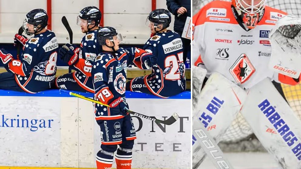 Hockeyspelare