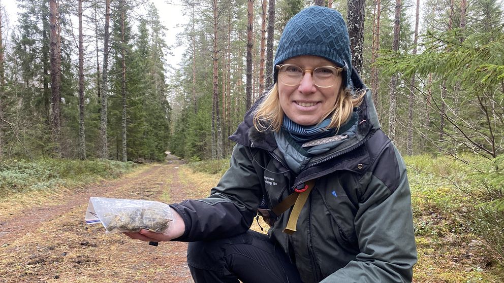 På bilden är Linda Andersson, rovdjurshandläggare på Länsstyrelsen. Hon sitter på huk på en skogsväg, i handen håller hon en plastpåse.
