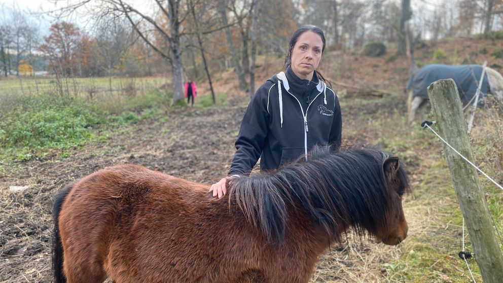 En person står bredvid en brun häst i en naturskön miljö med träd och en öppen äng i bakgrunden. I fjärran syns en annan person som går, medan ett stall eller en hage är synlig på höger sida av bilden.