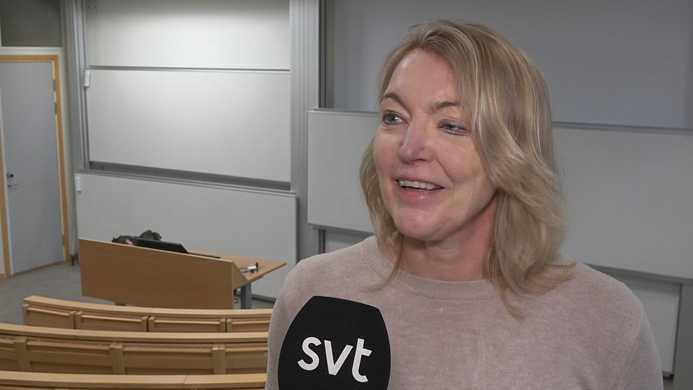 Åsa Hansson, nationalekonom.