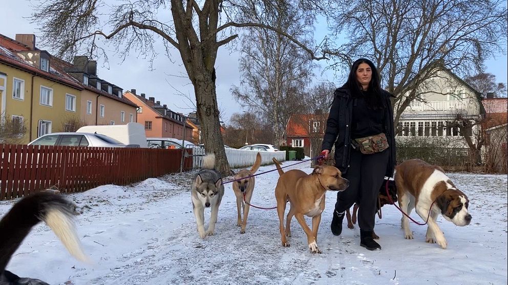 Sabrina går med hunddagiset på promenad