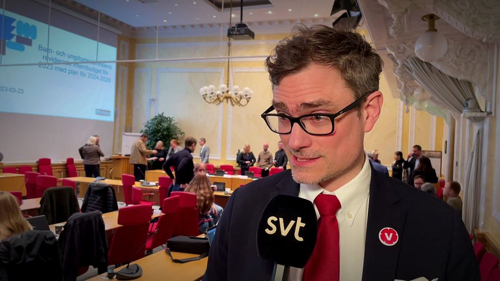Björn Alling (V)