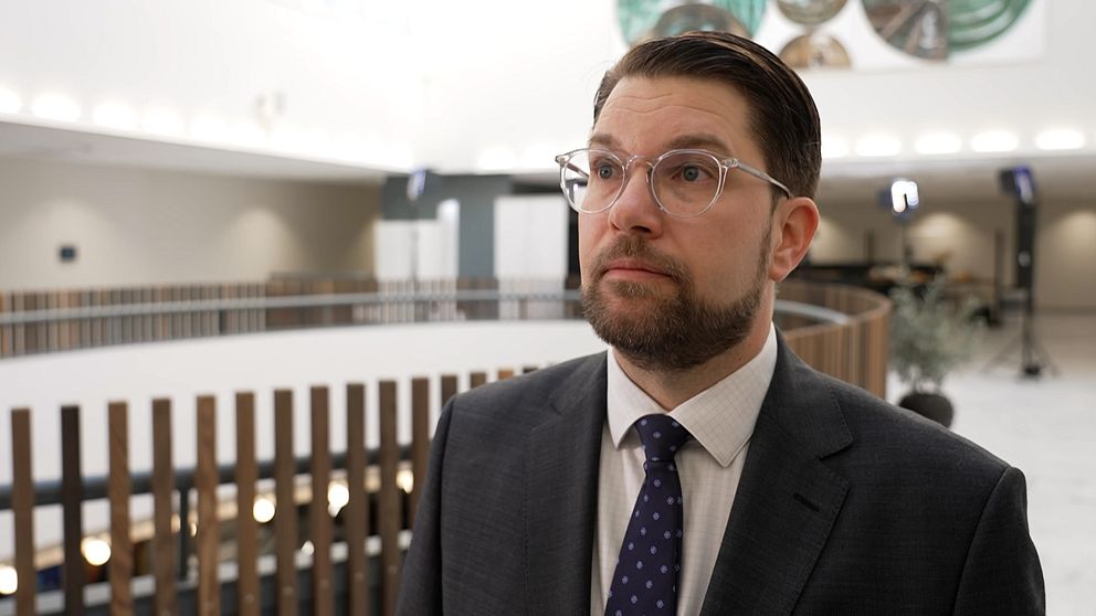 Jimmie Åkesson, Sverigedemokraternas partiledare på partiets landsdagar.