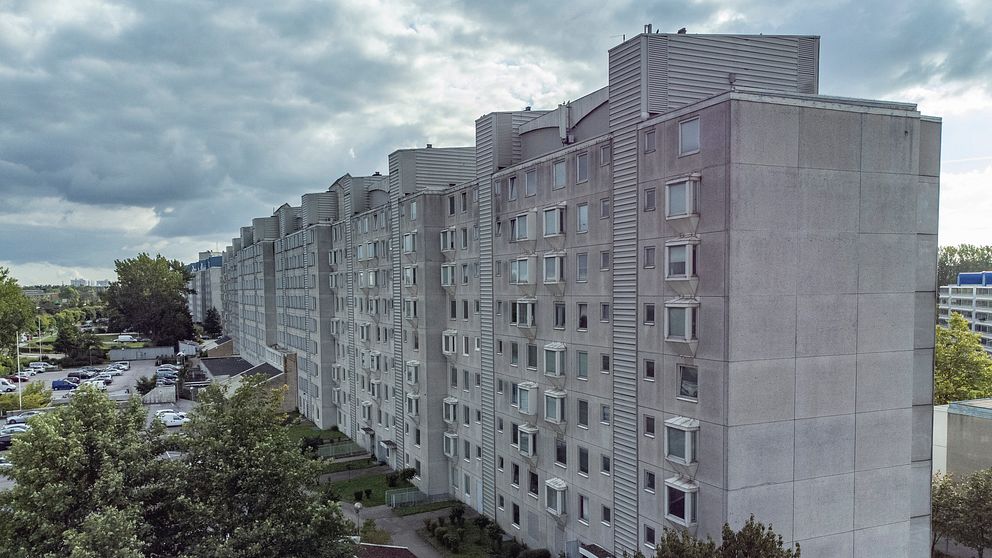 Kinesiska muren Malmö