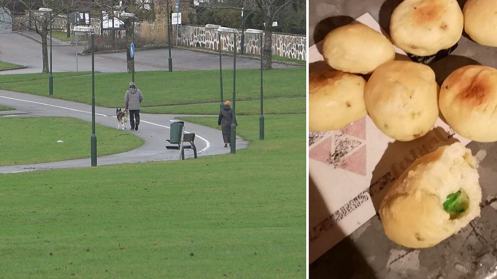 Hundägare i Ögårdsparken och bullarna med glas i