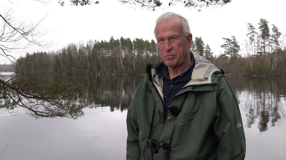 Thomas Andersson är ornitolog och orolig över situationen för rovfågeln Fiskgjusen i Fegen och i flera delar av Sverige.