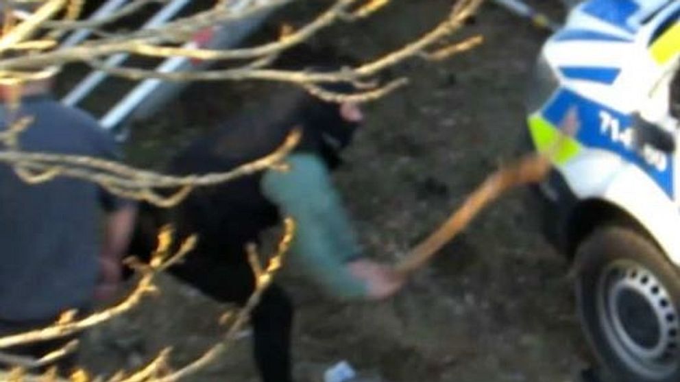 Förra Sindibadägaren är maskerad och slår med en gren mot en polisbuss i Sveaparken