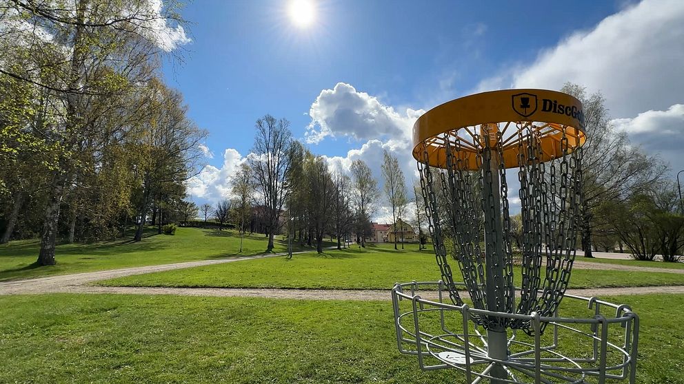 Discgolfkorg i en solig park med grönt gräs och träd i bakgrunden.