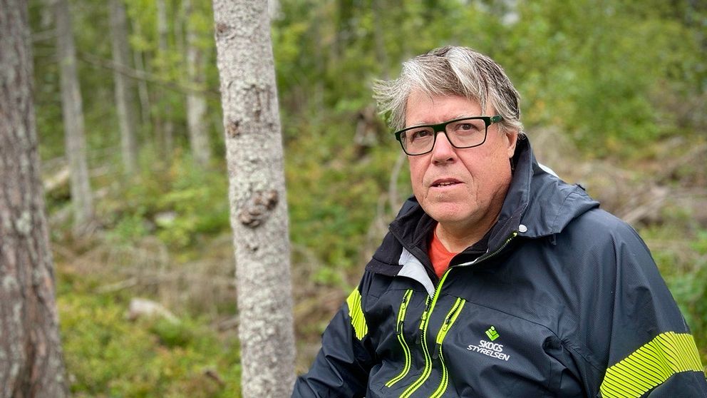 Nils Frank från Skogsstyrelsen i skogsmiljö
