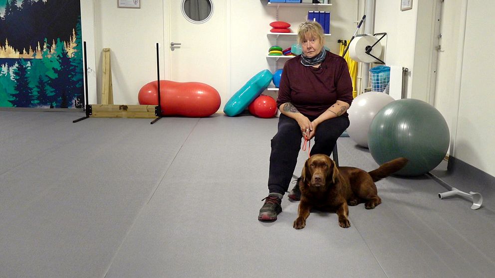 Labradoren Peggy ligger på golvet och matte Monica Olofsson sitter på en stol bredvid.