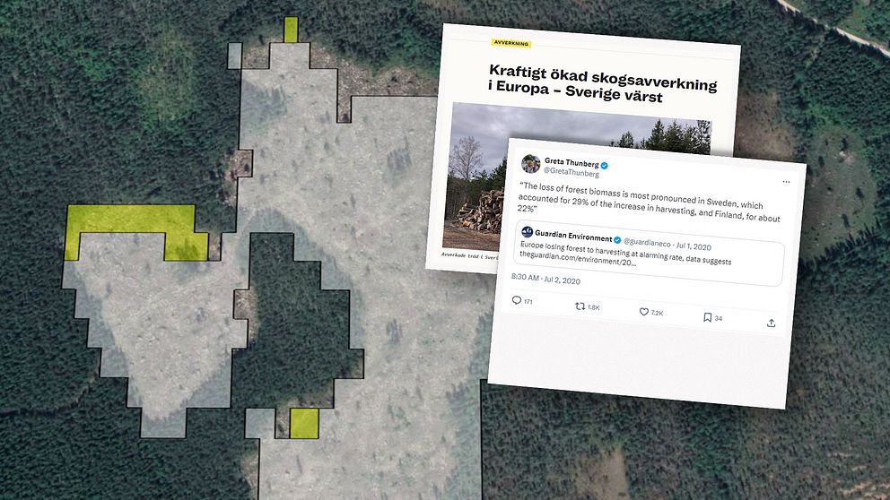 En bild som visar en skogsområde från ovan med ett klart utmarkerat område som är avverkat. Höger sida innehåller textsnuttar från olika källor, inklusive ett citat av Greta Thunberg och artiklar som belyser den ökade avverkningen av skog i Europa, med särskilt fokus på Sverige.