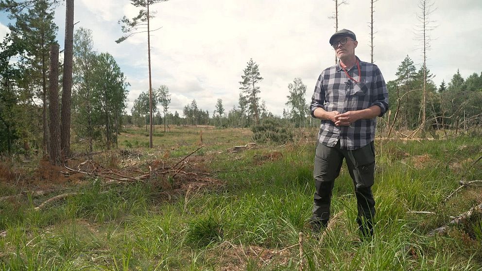 Bilden föreställer en man som står i skogen.