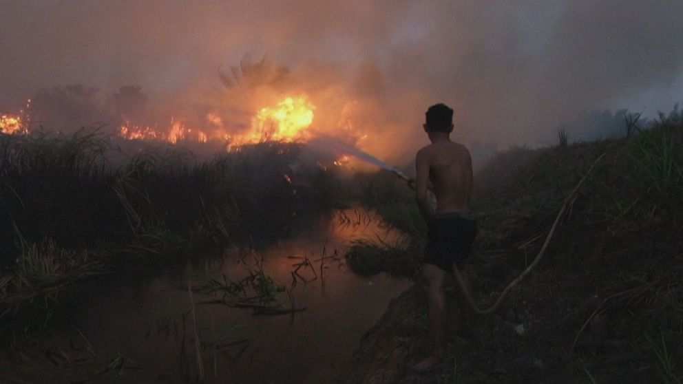 Pojke sprutar vatten på skogsbrand.